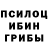 Псилоцибиновые грибы Cubensis timurq_