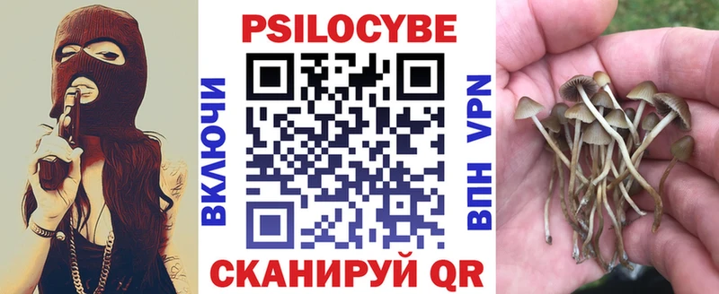закладки  Йошкар-Ола  Псилоцибиновые грибы ЛСД 